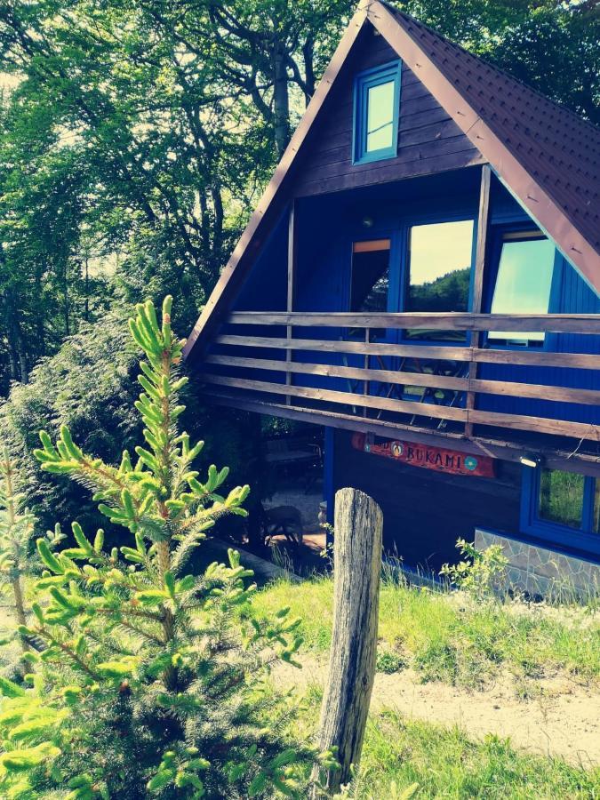 Domek Pod Bukami Szymbark  Exterior foto